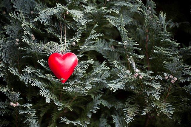 Red heart bauble on a tree